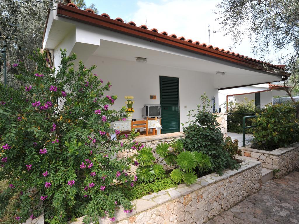 Camping Village Degli Ulivi マッティナータ 部屋 写真