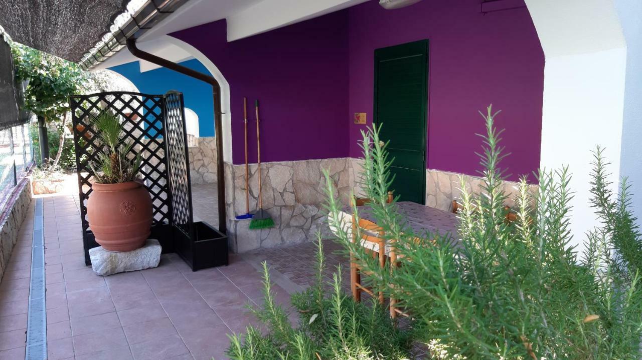 Camping Village Degli Ulivi マッティナータ エクステリア 写真