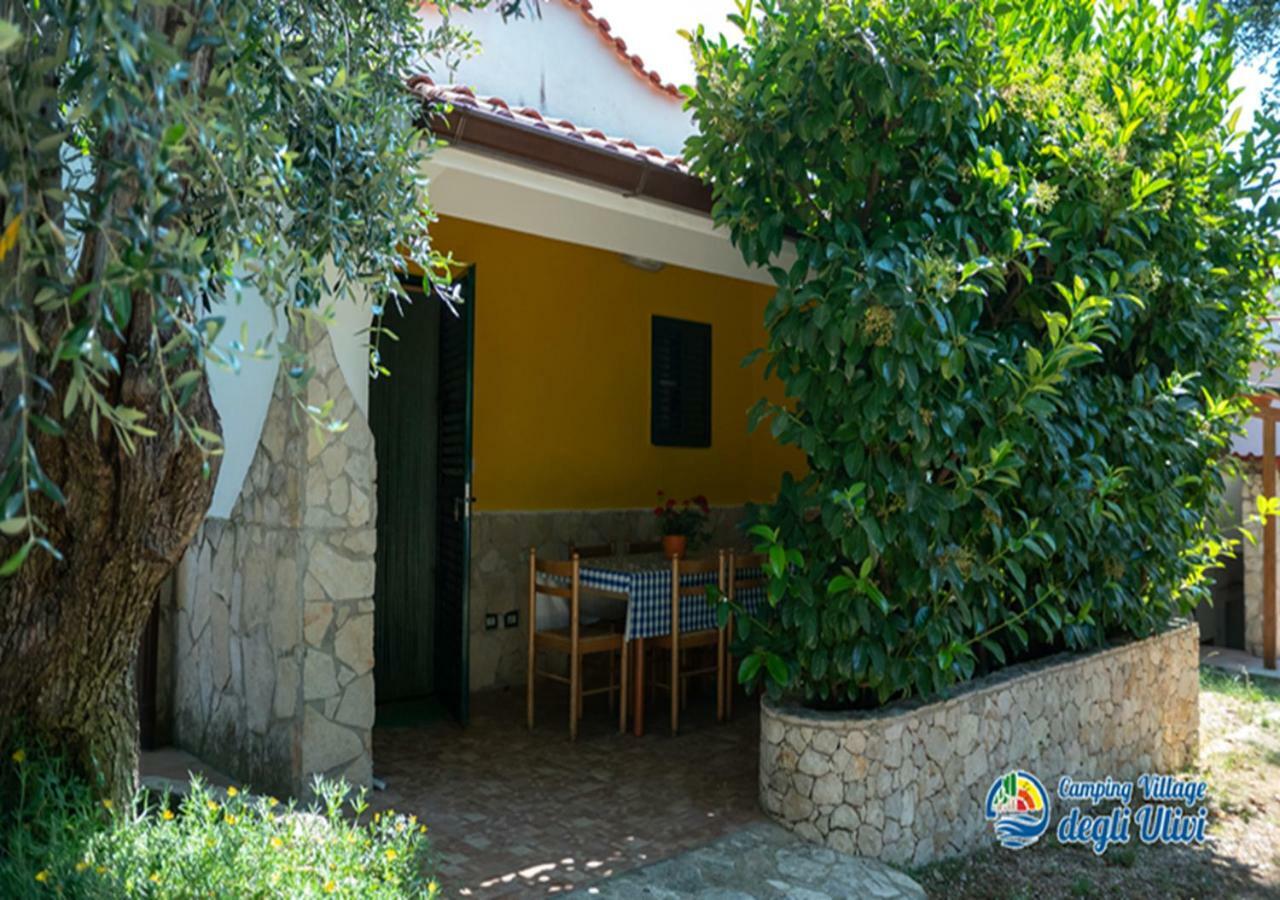 Camping Village Degli Ulivi マッティナータ エクステリア 写真