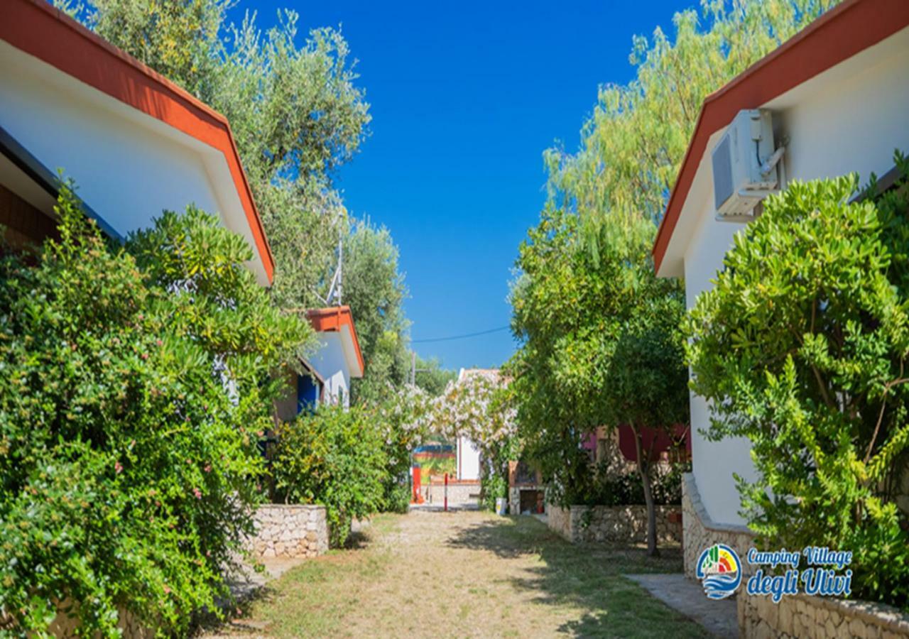 Camping Village Degli Ulivi マッティナータ エクステリア 写真