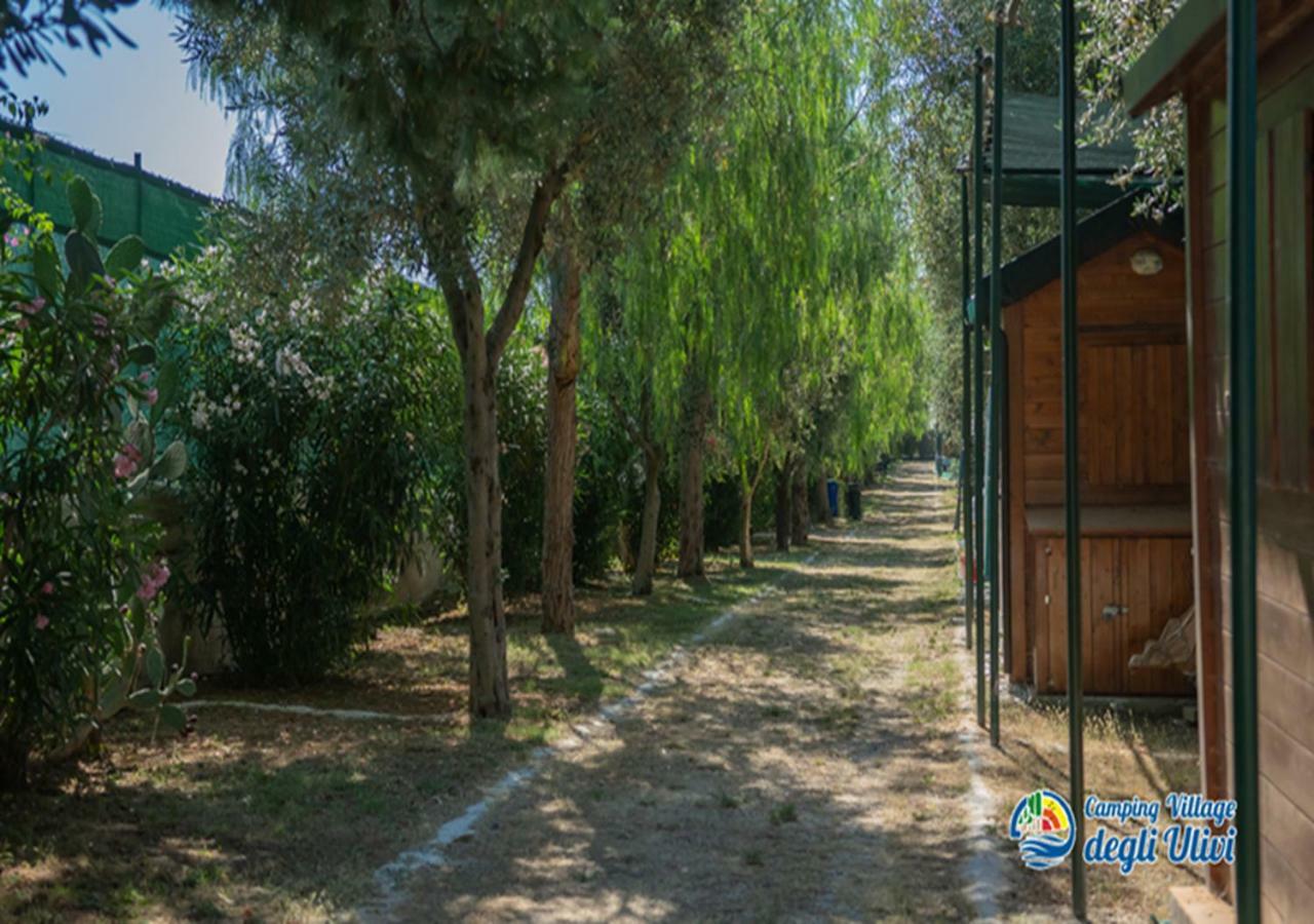 Camping Village Degli Ulivi マッティナータ エクステリア 写真