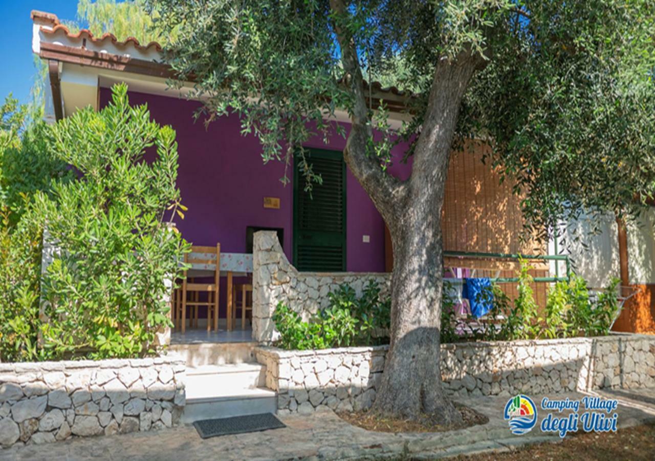 Camping Village Degli Ulivi マッティナータ エクステリア 写真