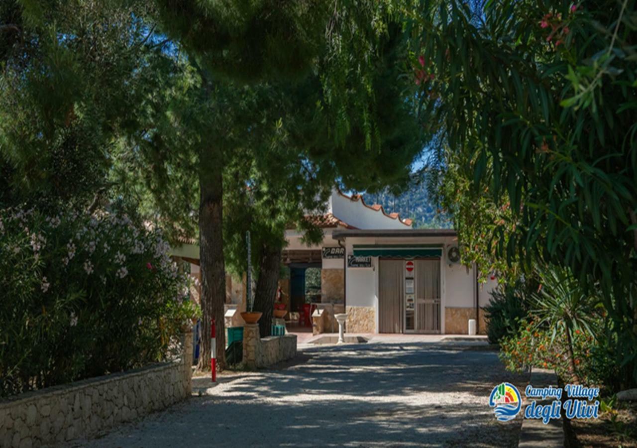 Camping Village Degli Ulivi マッティナータ エクステリア 写真